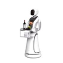 Amy Smart delivery robot