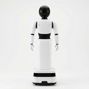 RiA A2D Humanoid Robot