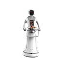 Amy Smart delivery robot